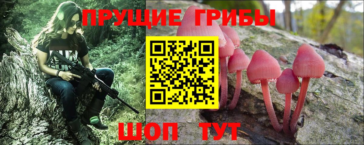 Ногинск  Псилоцибиновые грибы прущие грибы  Вход с VPN 